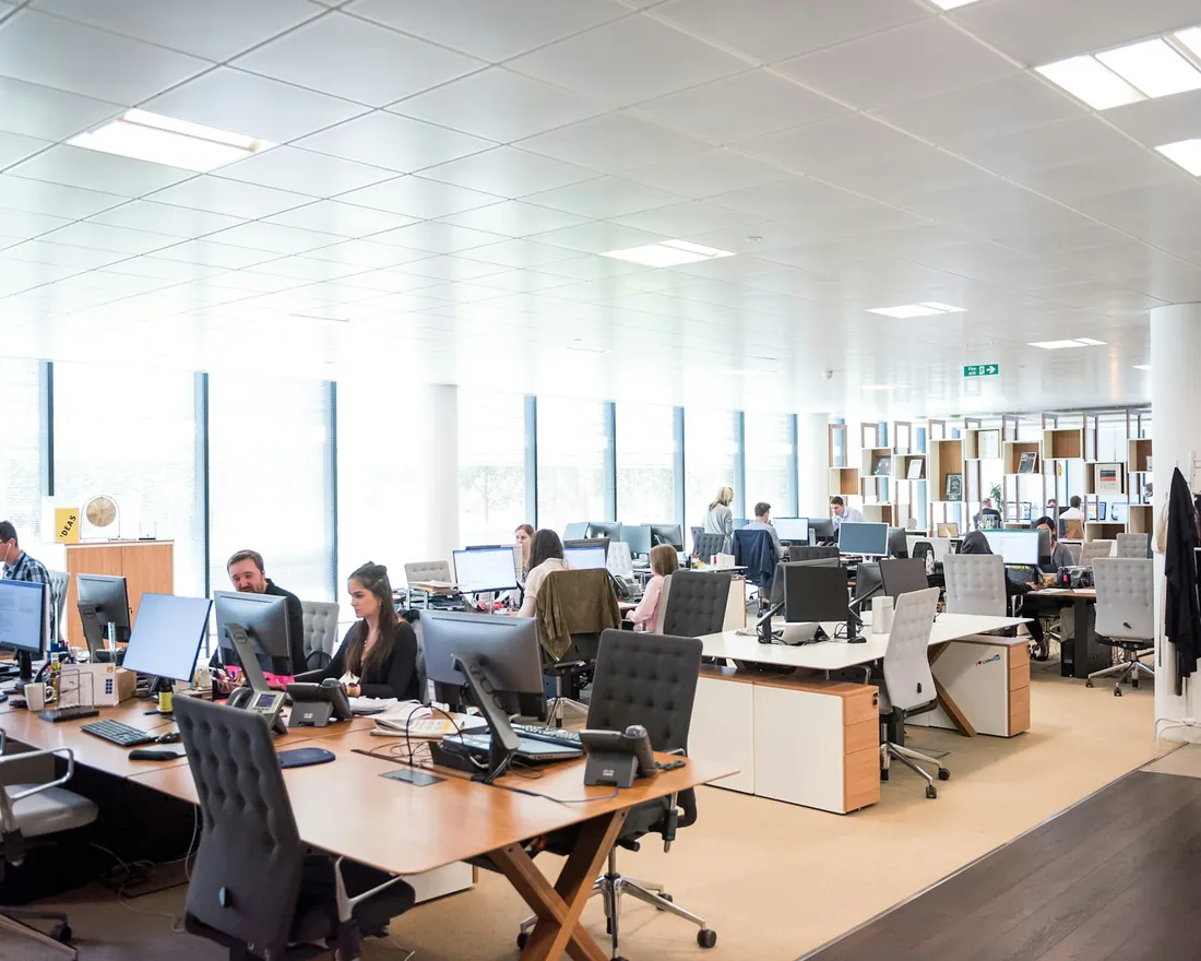 Open-plan office with support staff working at their desks